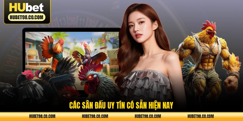 Các sân đấu uy tín có sẵn hiện nay